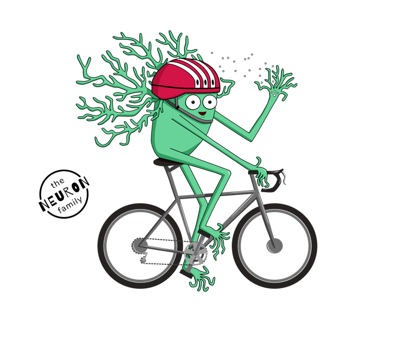 Bike Neuron