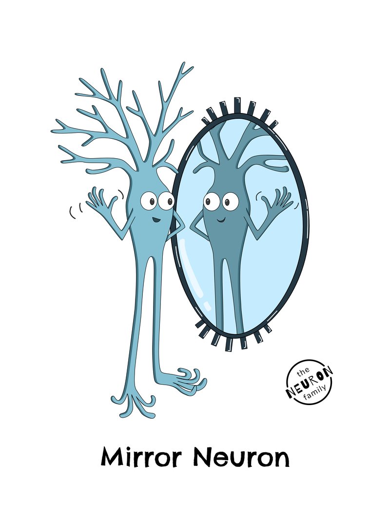 Mirror Neuron sketch copy