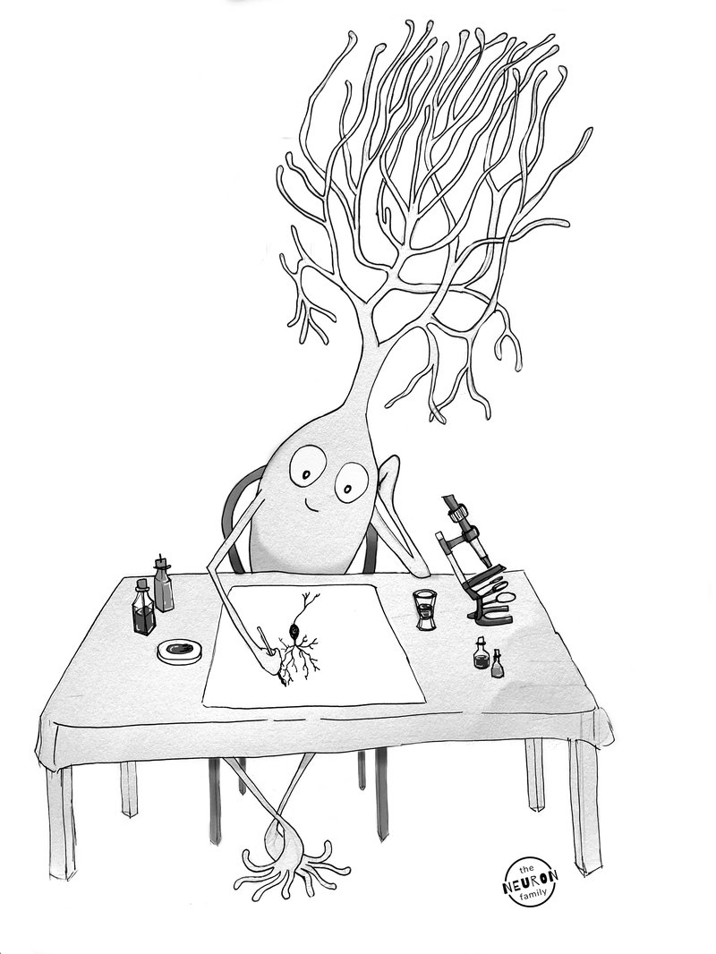 Ramon y Cajal neuron