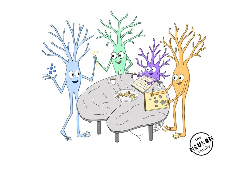 lab meeting neurons draft 3 no text