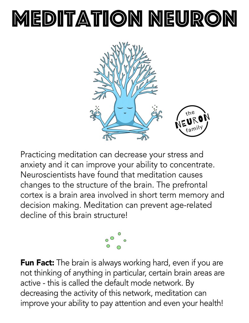 meditation neuron description page