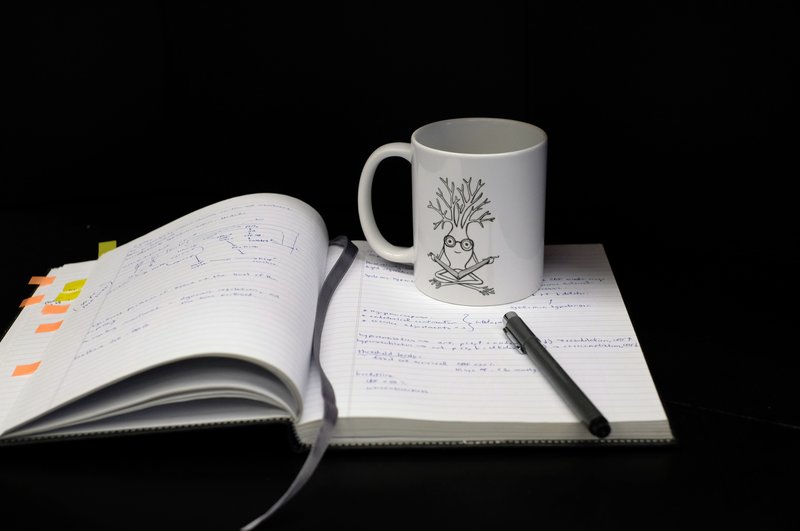 mug_lab book