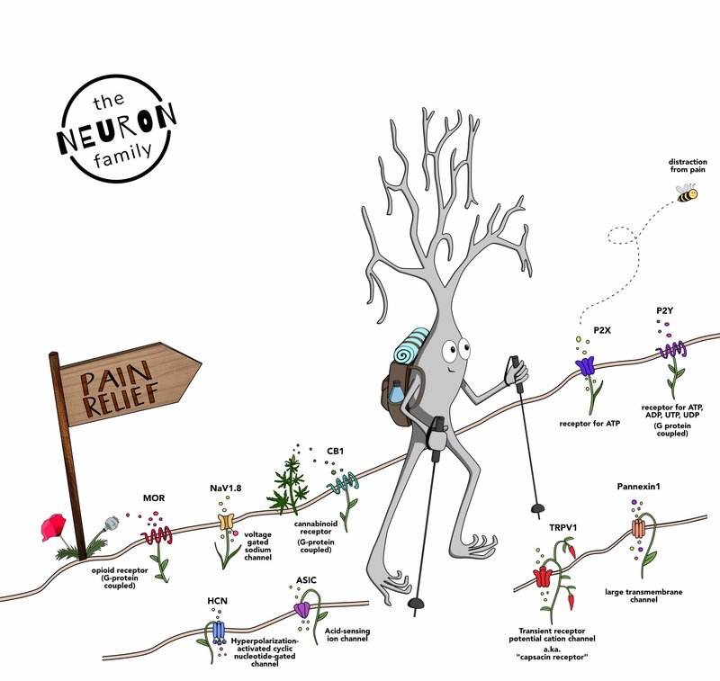 pain relief neuron with labels logo