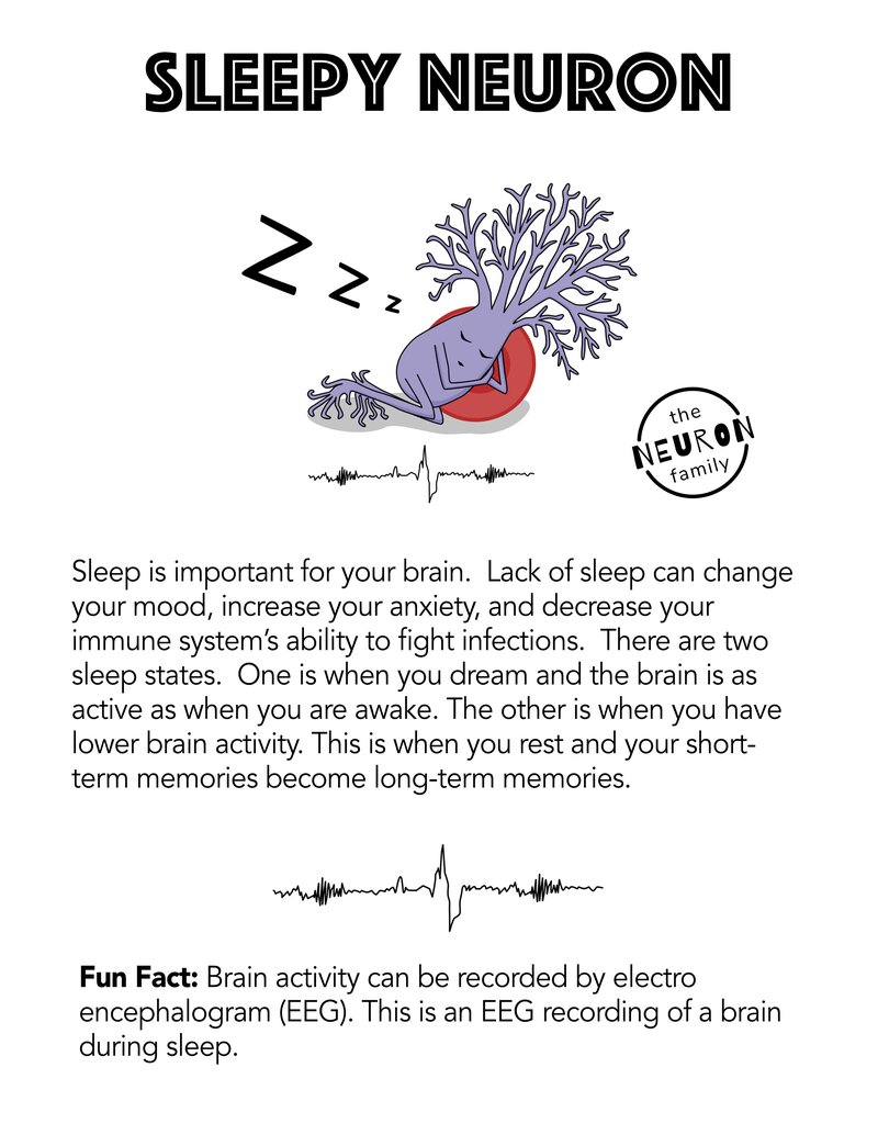 sleepy neuron description page